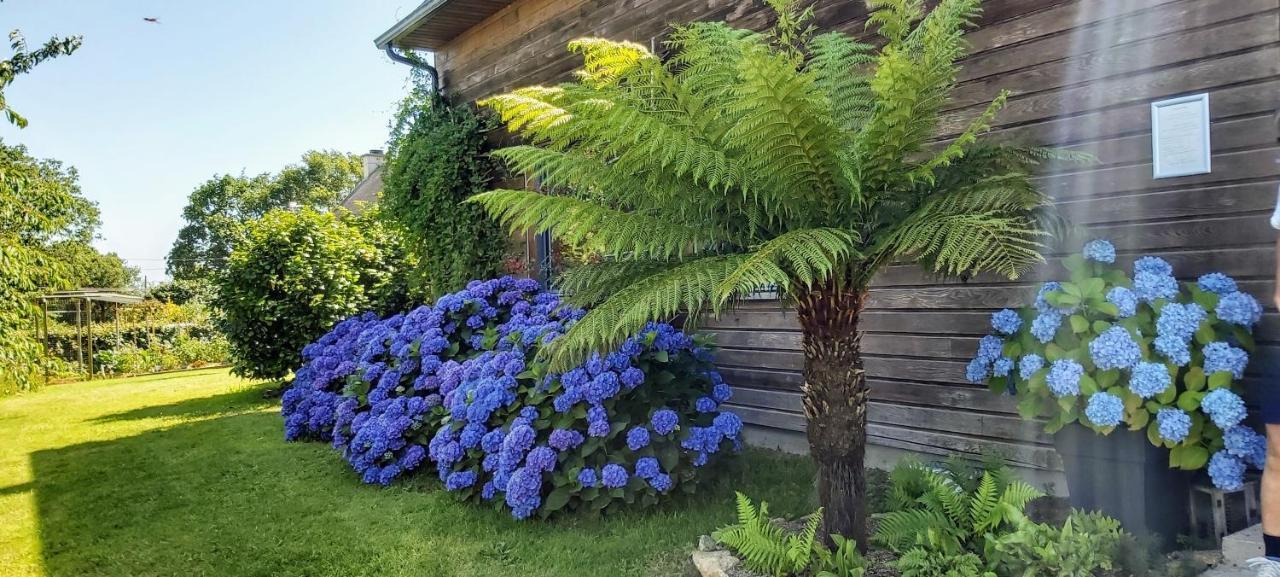 L'Oustaou Du Bodo Bed & Breakfast Ambon Eksteriør bilde
